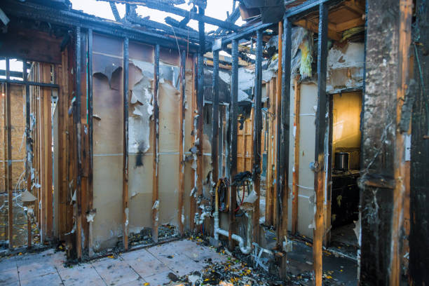 Professional Smoke Damage Removal technician working in Tampa, FL