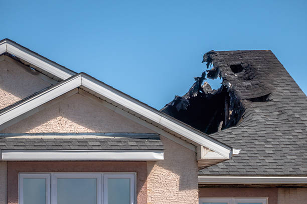 Top rated local Smoke Damage Removal specialists in Tampa, FL